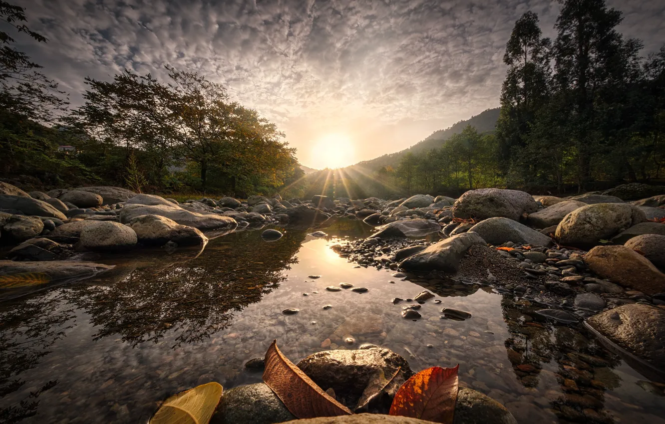 Photo wallpaper autumn, leaves, the sun, rays, landscape, mountains, nature, river