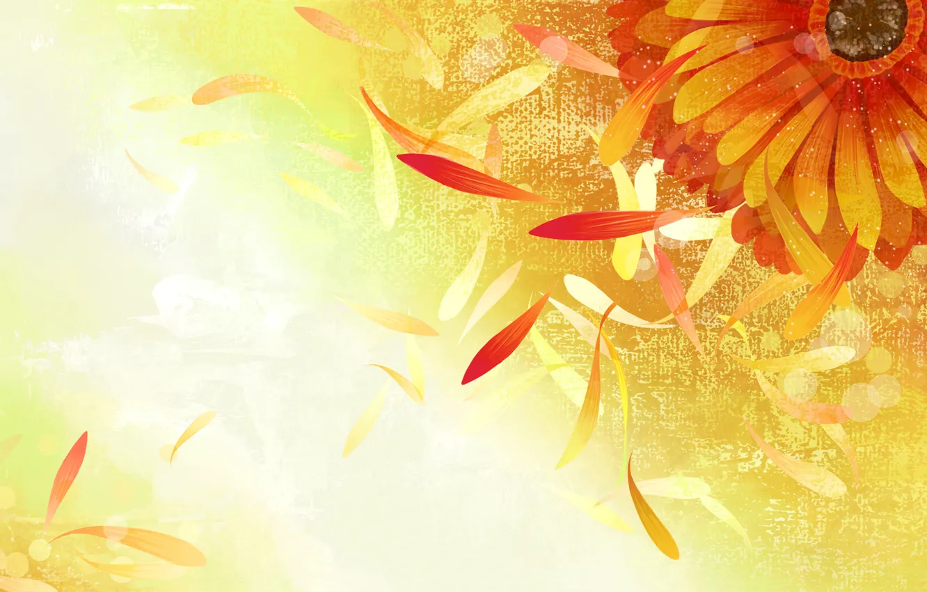 Photo wallpaper flowers, paint, vector, petals