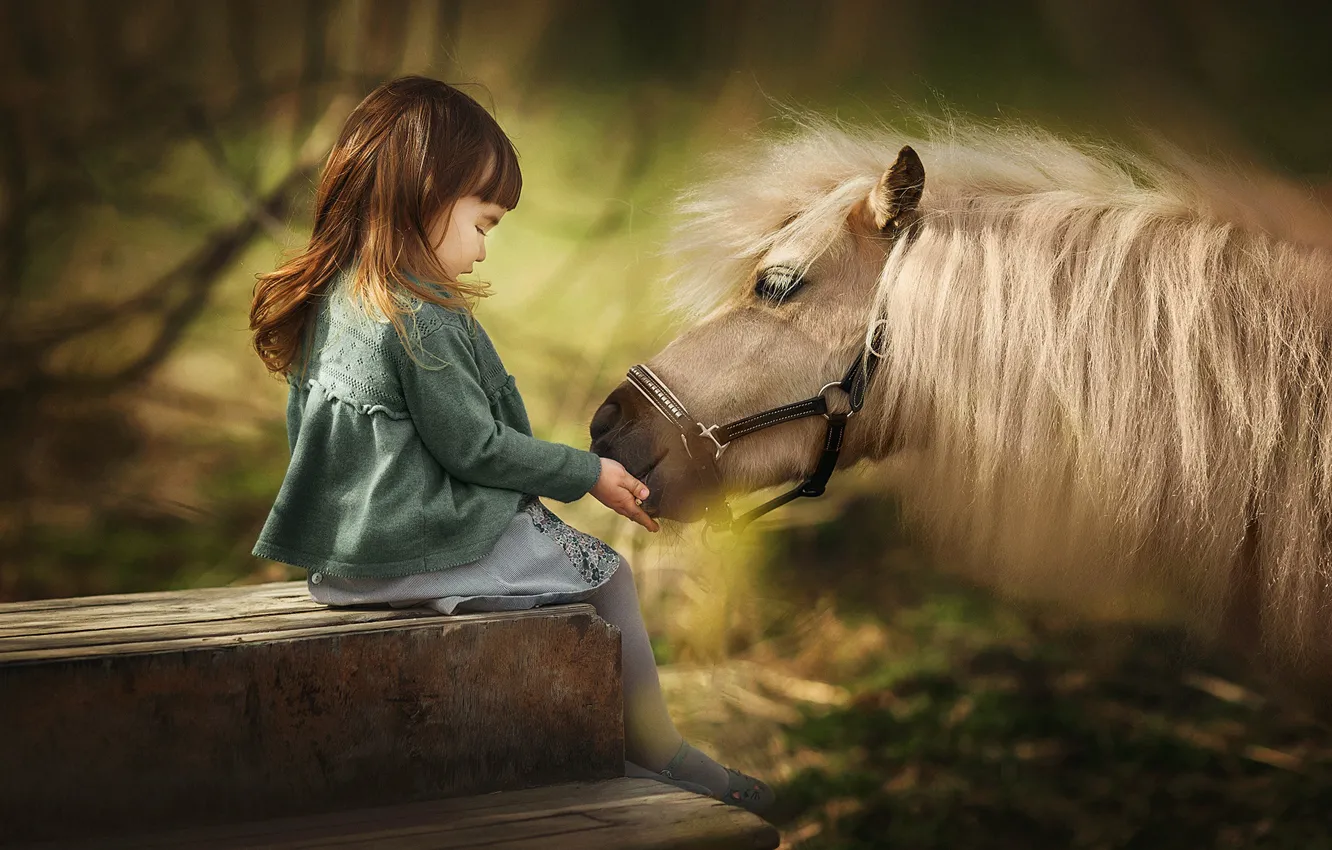 Photo wallpaper each, mane, girl, pony, horse