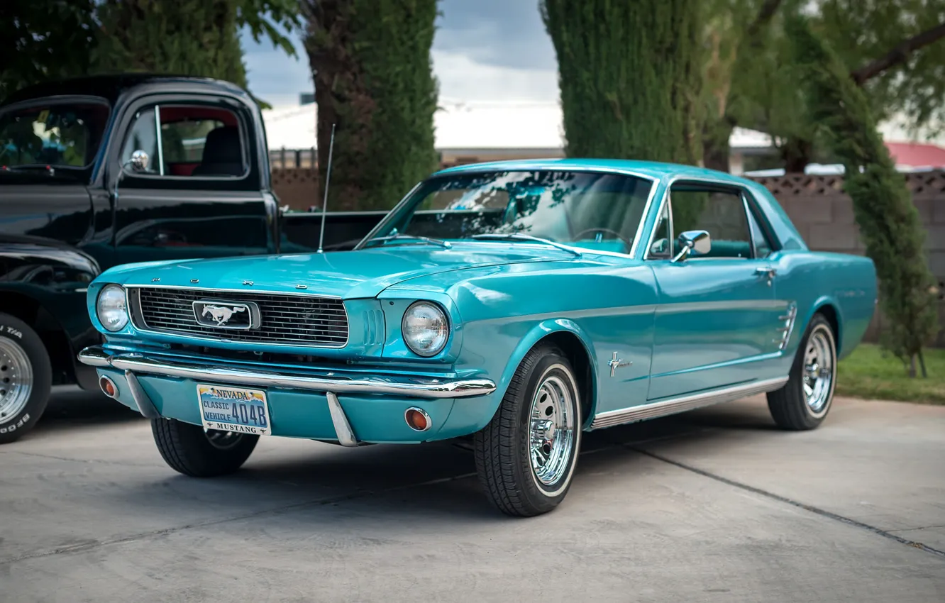 Photo wallpaper Mustang, Ford, classic, the front