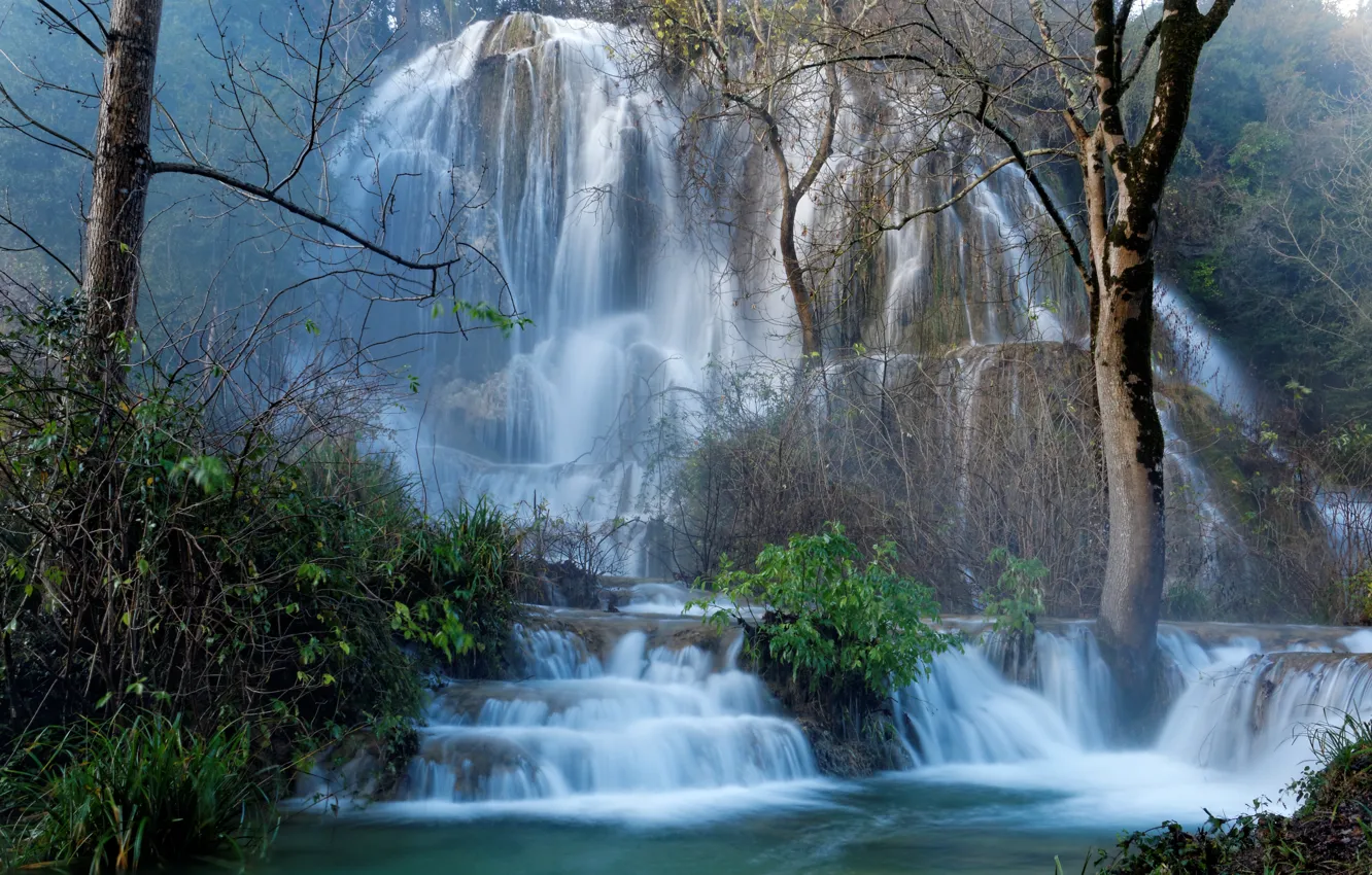 Photo wallpaper forest, trees, rock, France, waterfall, cascade, the bushes, Larnas