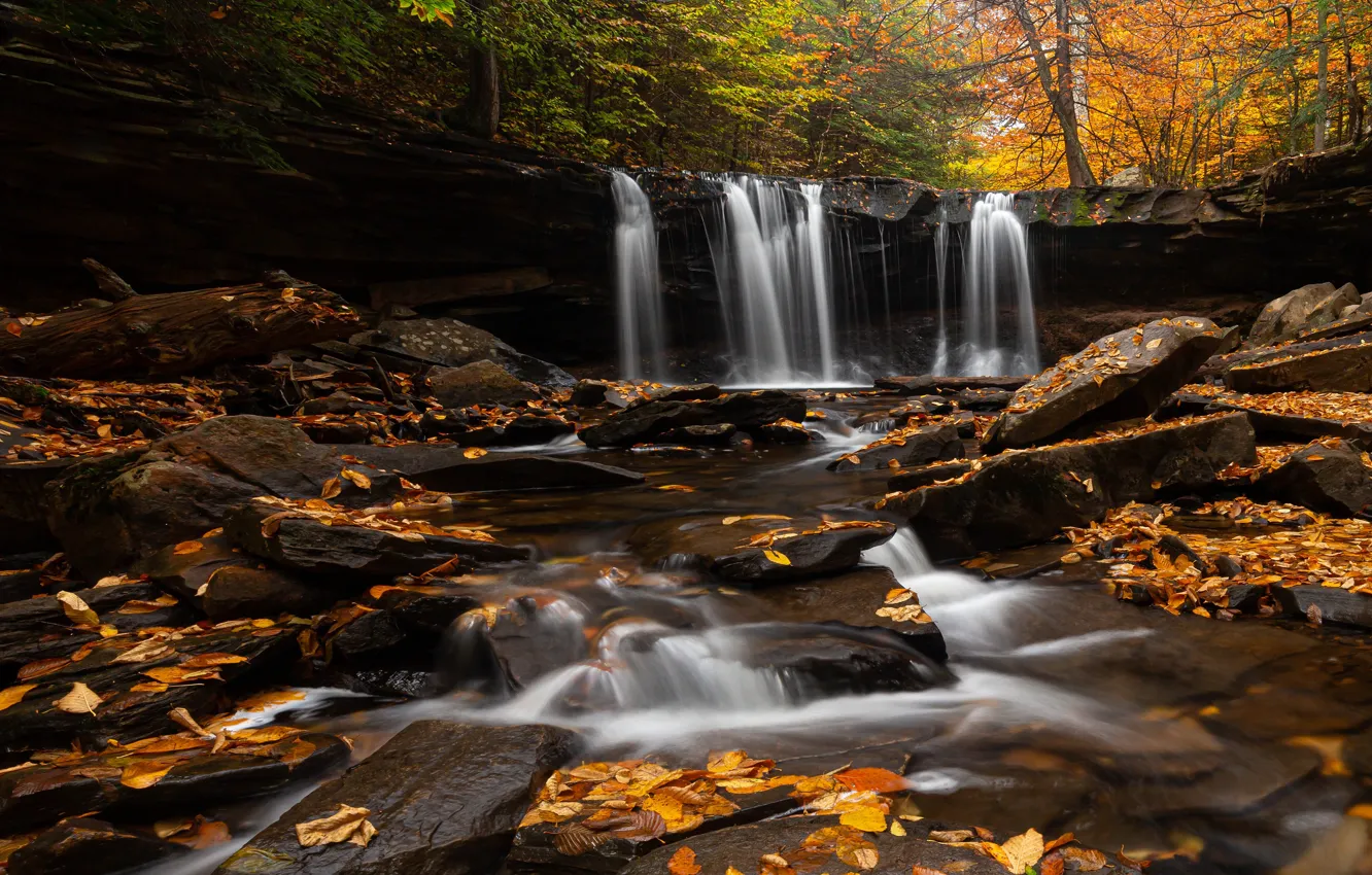 Photo wallpaper autumn, forest, stones, foliage, waterfall, autumn leaves