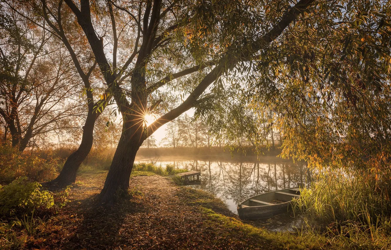 Photo wallpaper Voronezh River, Surroundings of the village of Ramon, Dmitry Kupratsevich