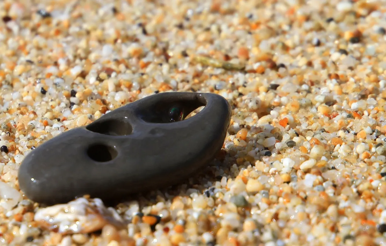 Photo wallpaper macro, shore, grit, stones