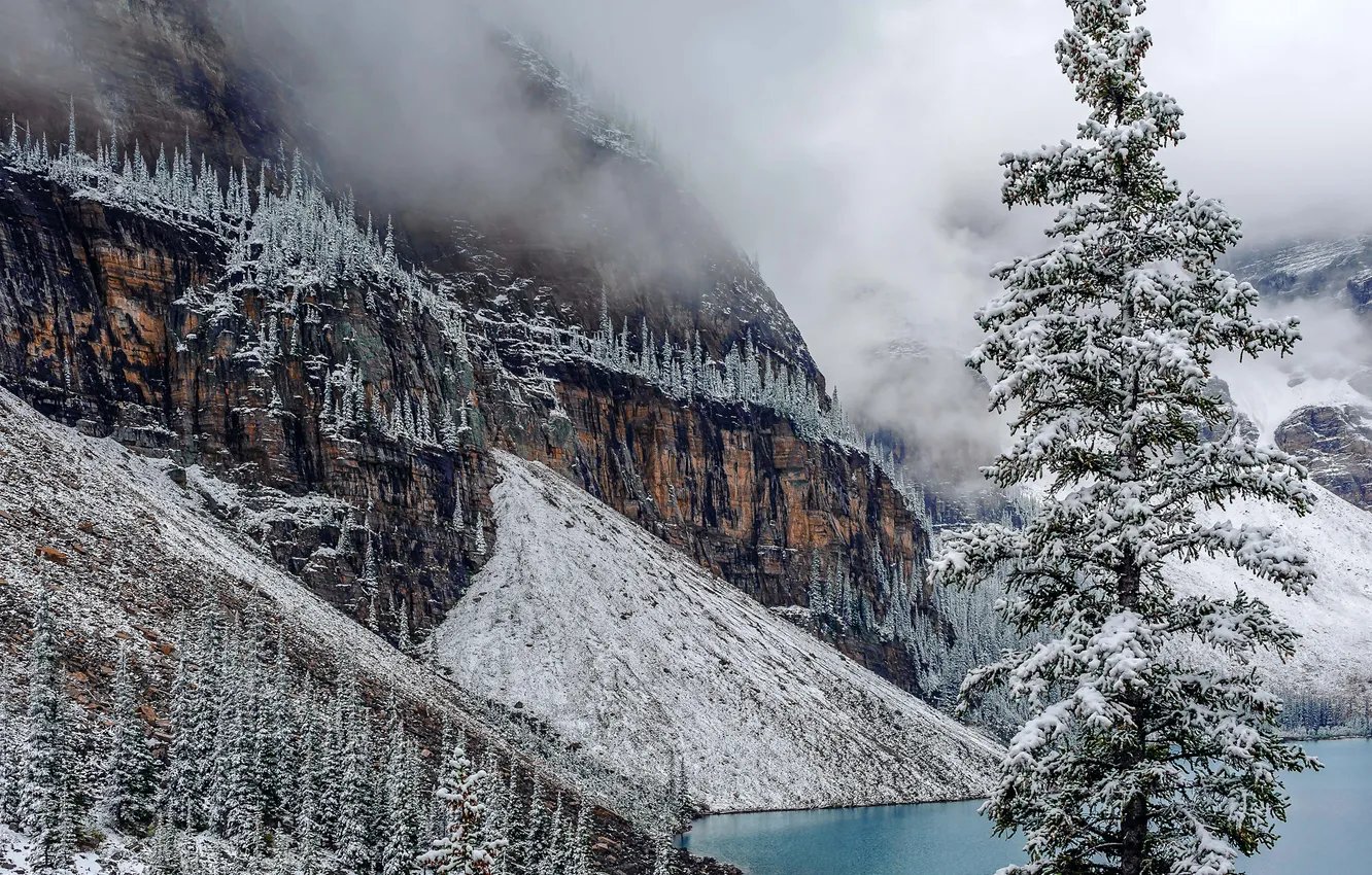 Photo wallpaper winter, snow, trees, mountains, lake