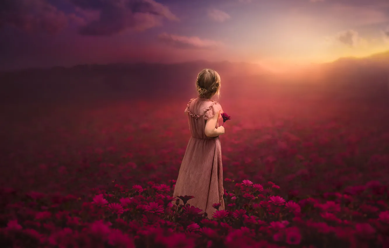 Photo wallpaper sunset, flowers, meadow, girl