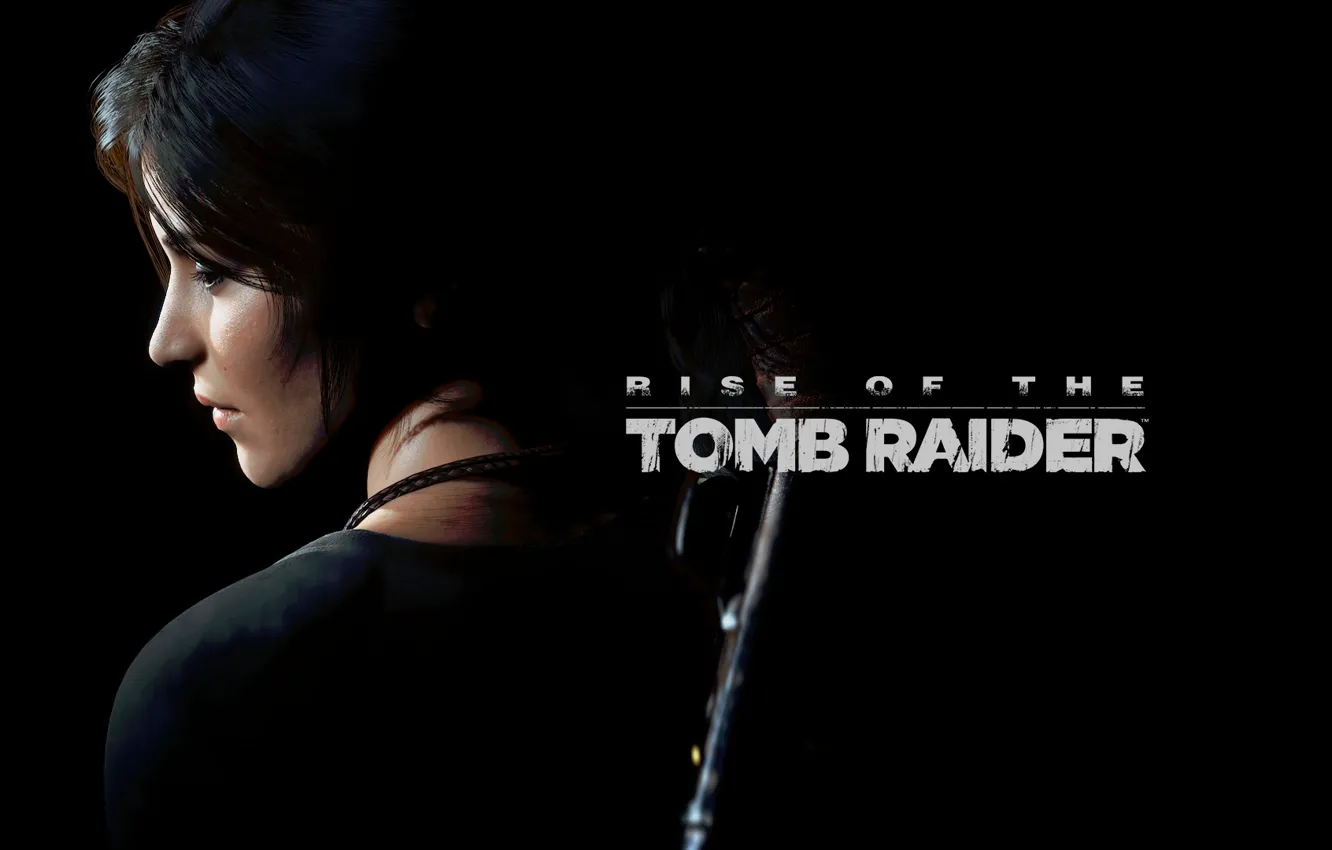 Photo wallpaper game, Lara Croft, rise of tomb raider