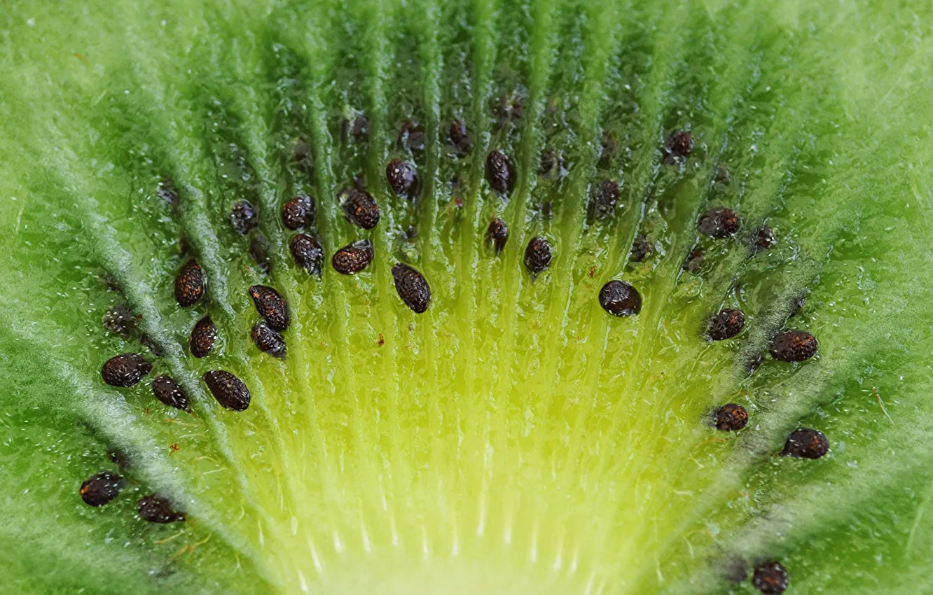 Photo wallpaper food, kiwi, the flesh, senski, fruit