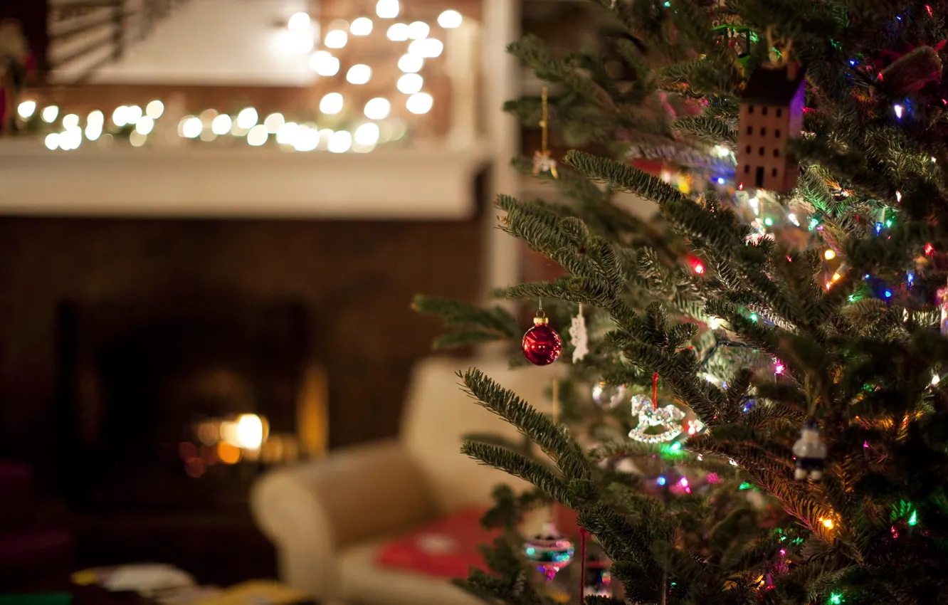 Photo wallpaper room, holiday, tree