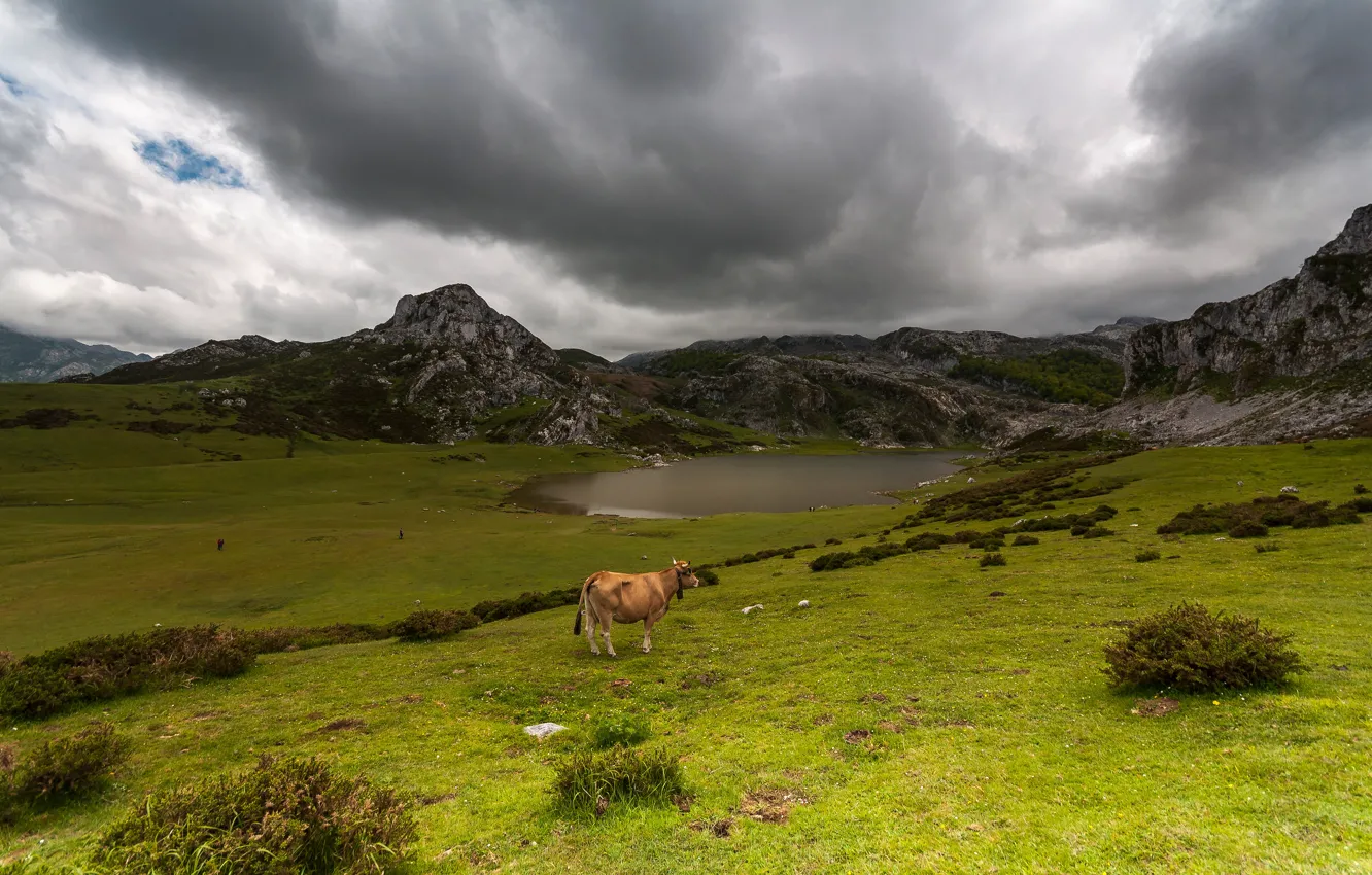 Photo wallpaper field, the sky, grass, clouds, mountains, clouds, lake, overcast