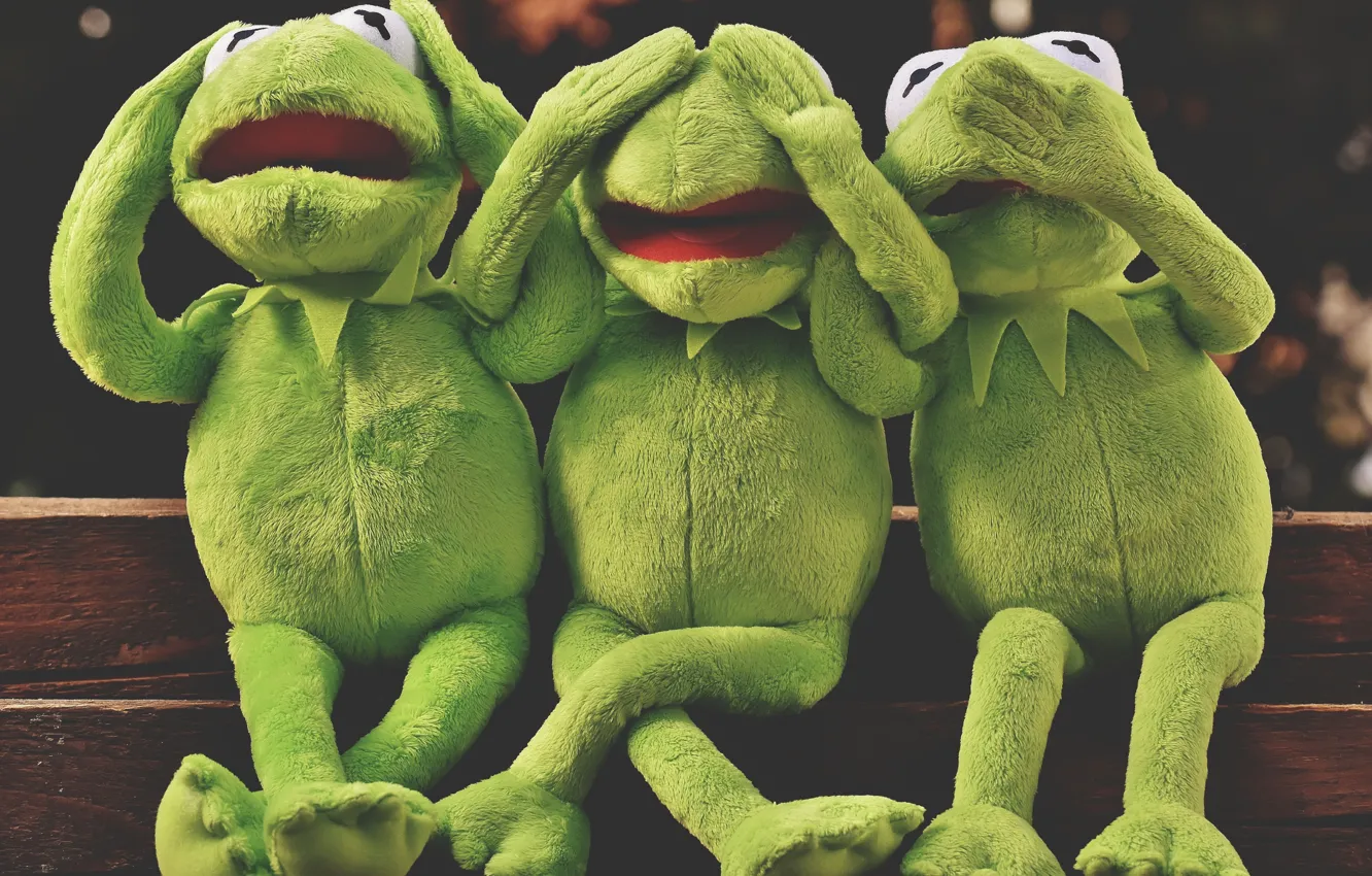 Photo wallpaper emotions, can't hear anything, can't see anything, The Muppets, Do not say anything, Kermit