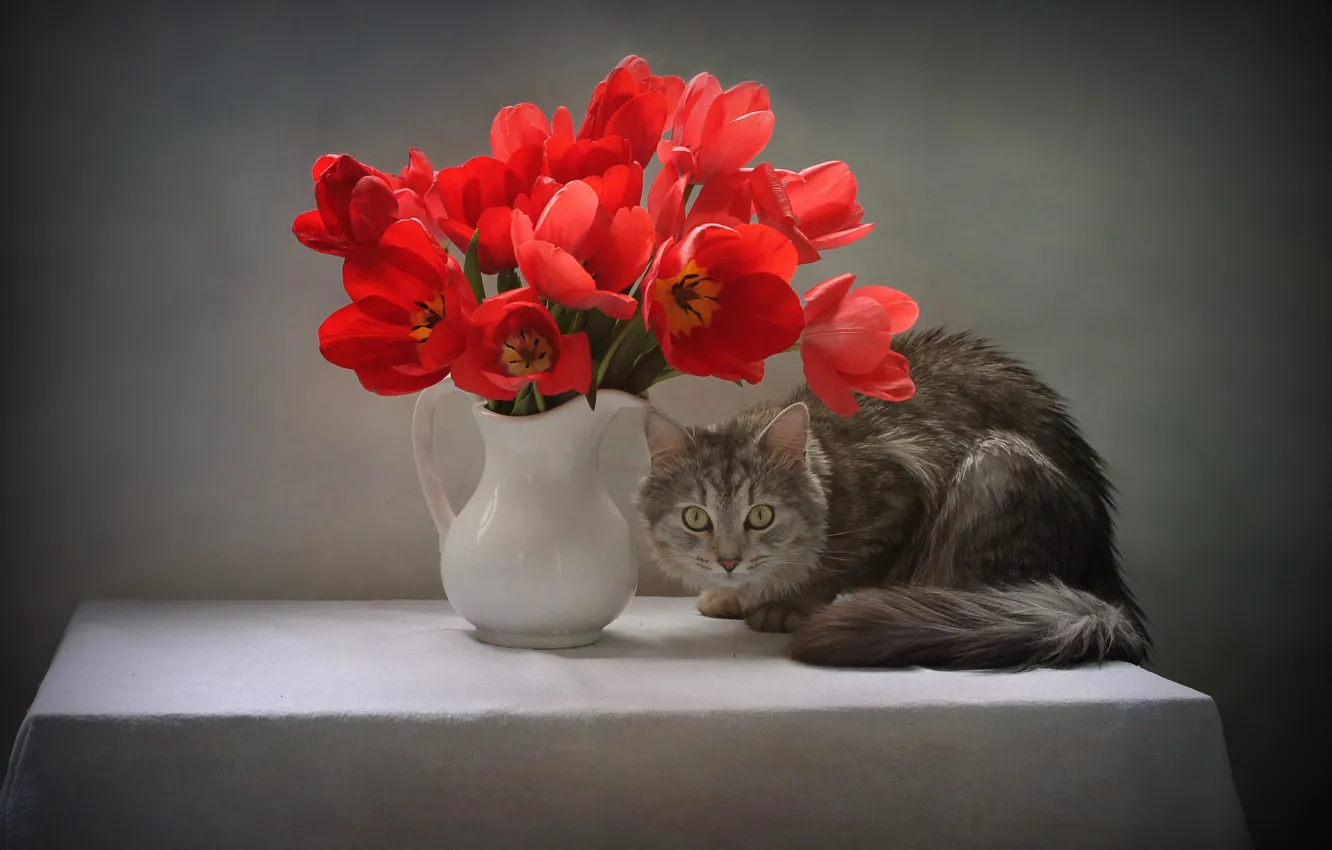 Photo wallpaper cat, cat, look, flowers, pose, table, animal, tulips
