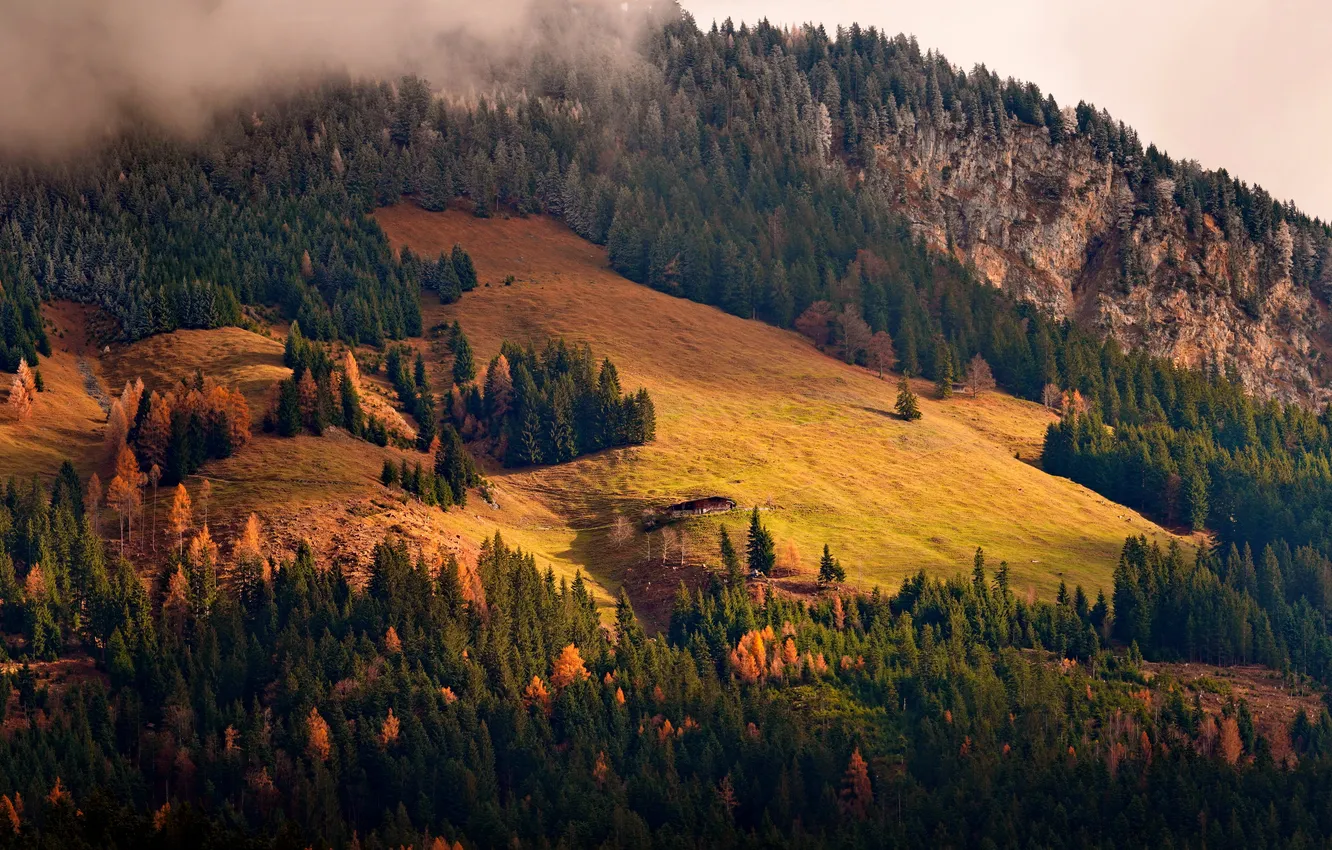 Photo wallpaper Germany, Tyrol, Suvad Hamzić