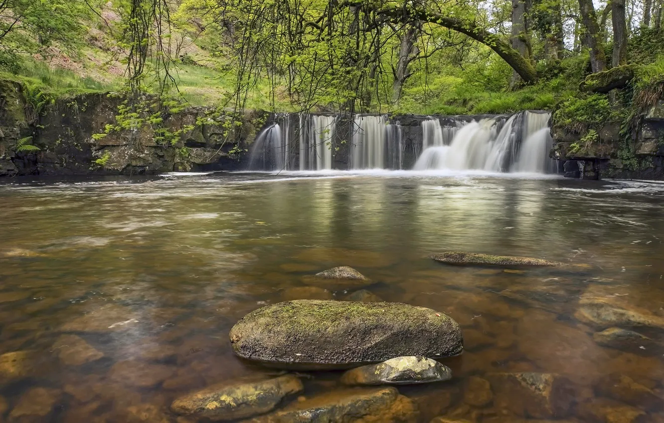 Photo wallpaper forest, river, stones, England, waterfall, England, North York Moors, Walker Mill Foss