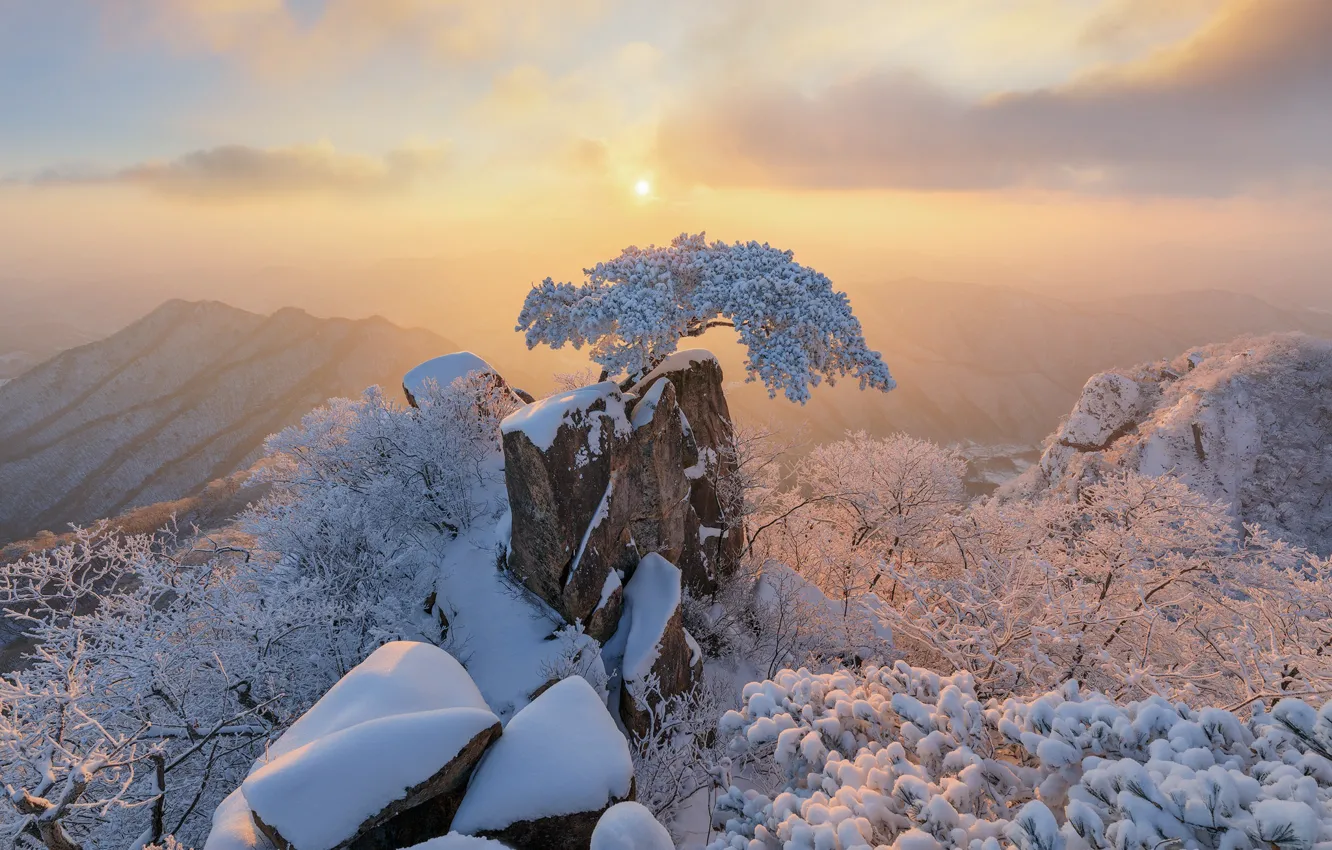 Photo wallpaper winter, snow, trees, mountains