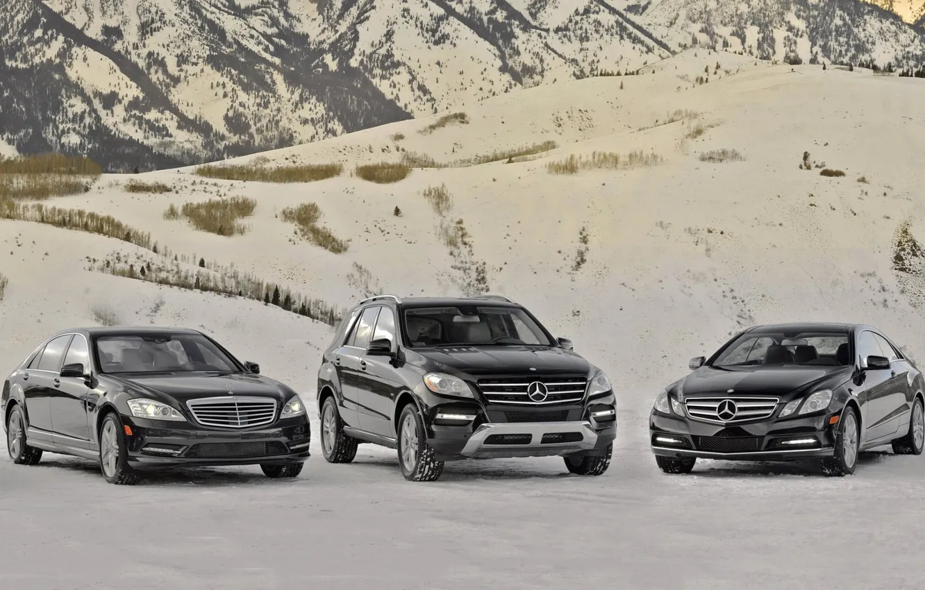 Photo wallpaper snow, mountains, mercedes-benz, Mercedes, mixed, lineup, E-class, S-class