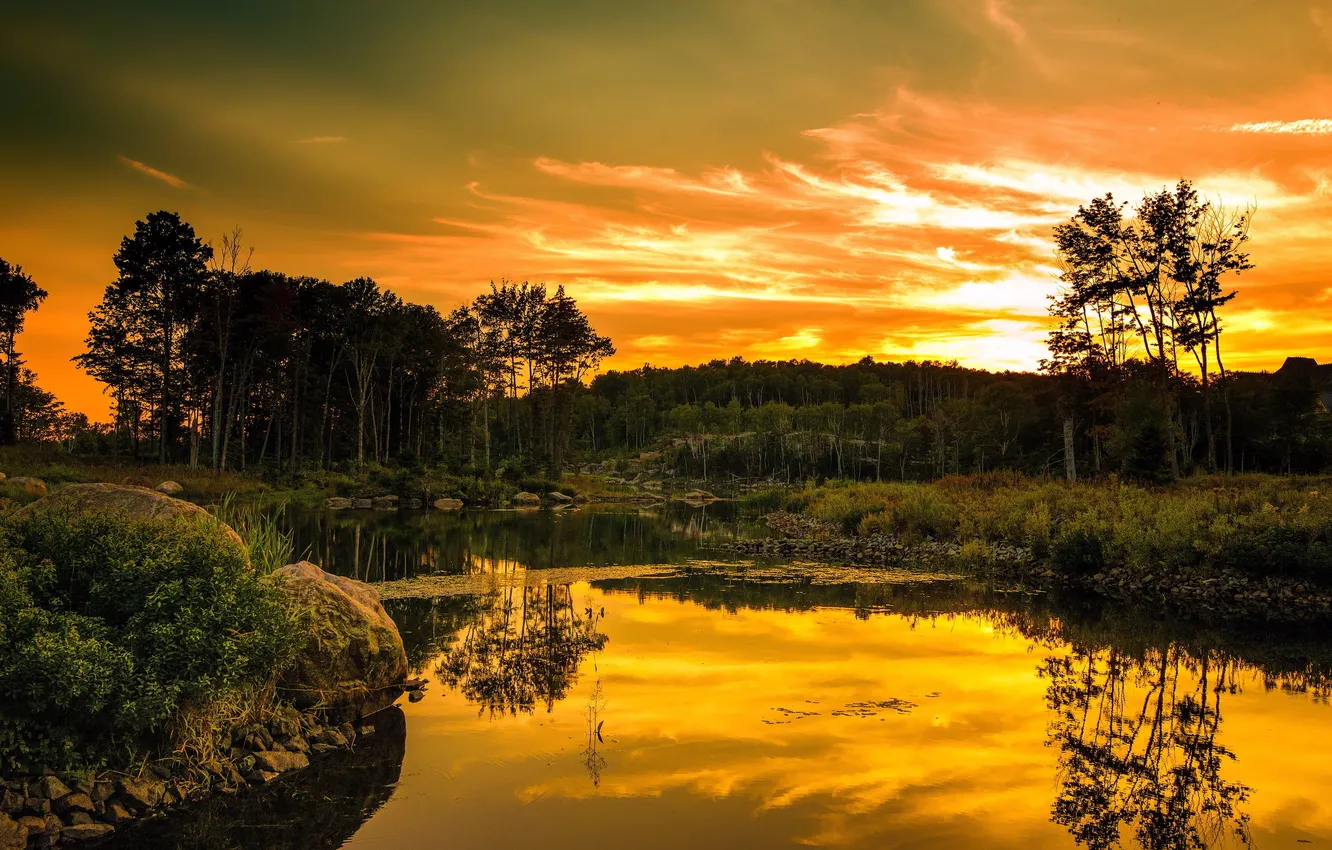 Photo wallpaper forest, landscape, sunset, river