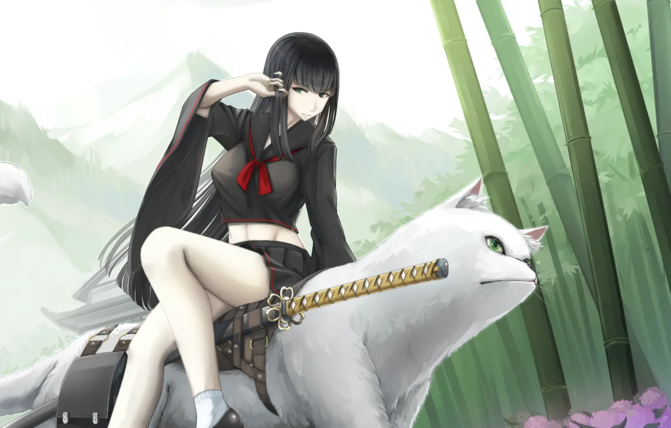 Photo wallpaper cat, girl, nature