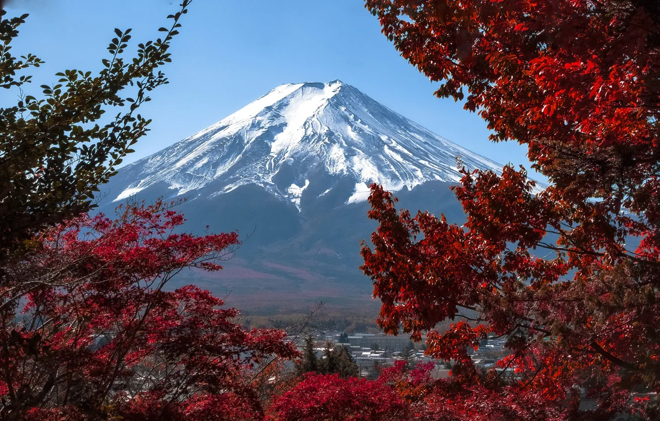 Photo wallpaper autumn, snow, trees, landscape, mountains, nature, Japan, Fuji