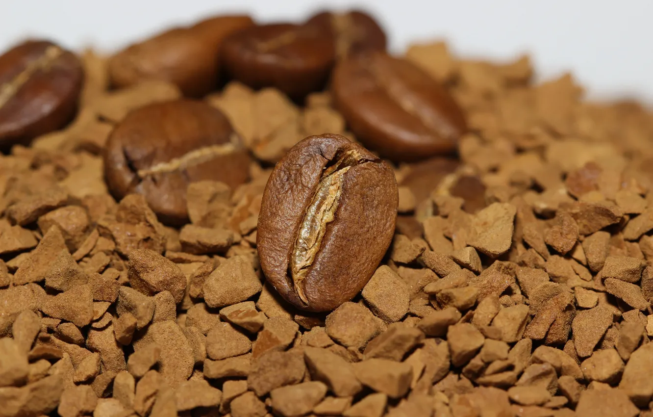 Photo wallpaper background, coffee, grain