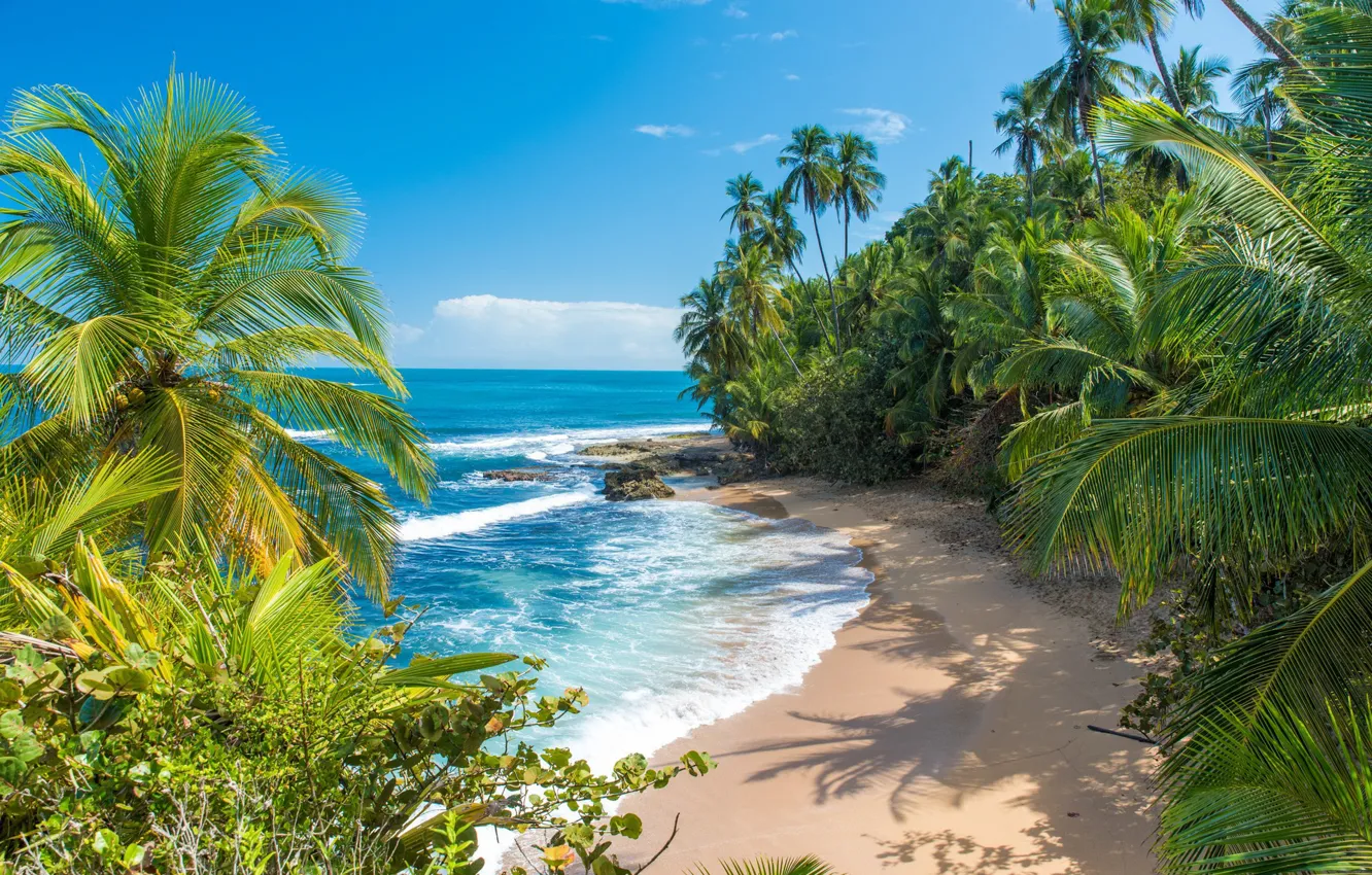 Photo wallpaper sea, palm trees, Caribbean, Costa Rica