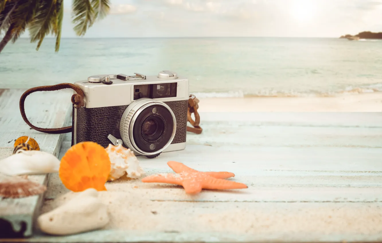 Photo wallpaper sea, summer, nature, Palma, the camera, starfish