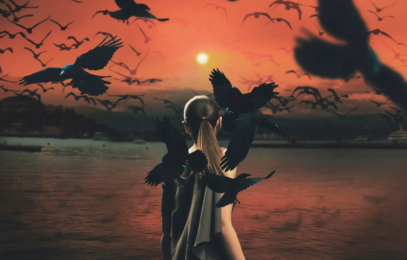 Wallpaper girl, the sun, birds, crows, mythology series images for
