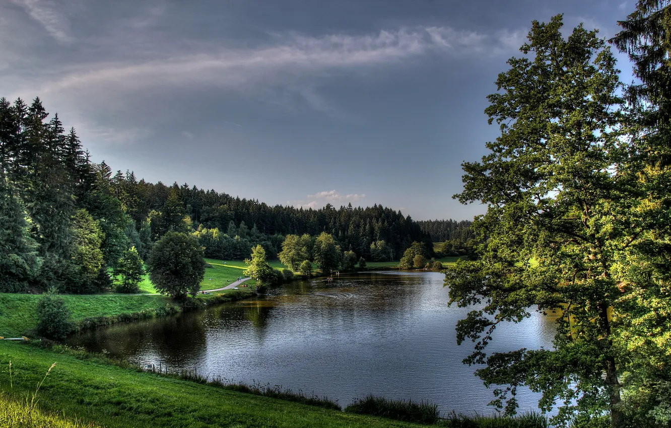 Photo wallpaper forest, the sky, grass, clouds, trees, landscape, nature, lake