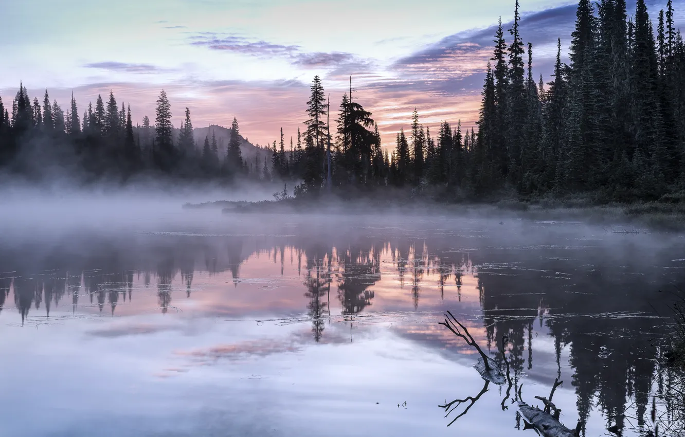 Photo wallpaper trees, landscape, nature, fog, lake, morning, USA, Olympic