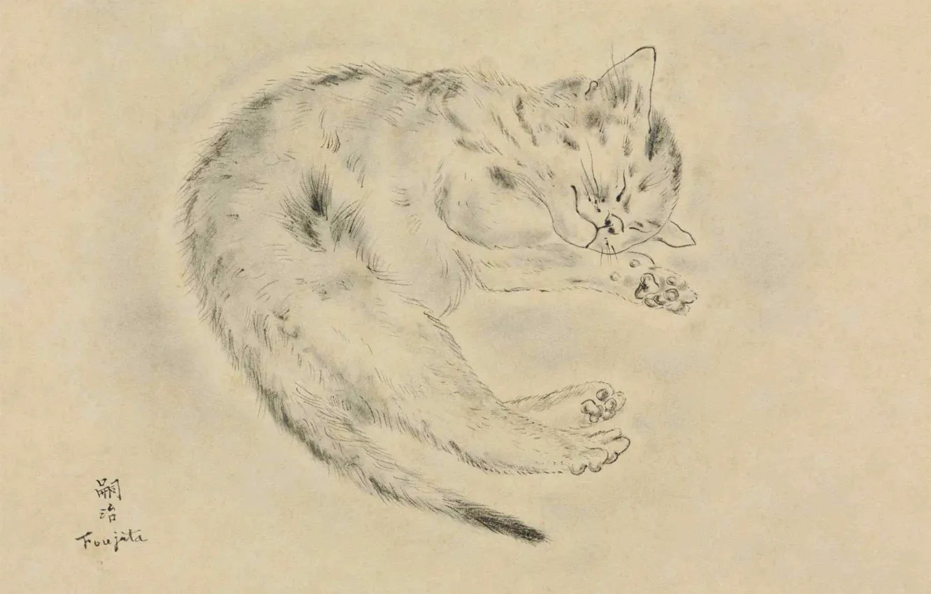 Photo wallpaper paper, 1928, Tsuguharu Foujita, pen and ink, Sleeping cat, blur grey