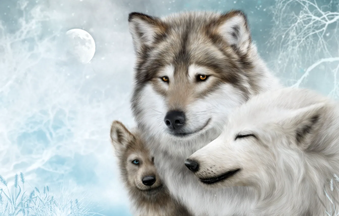 Photo wallpaper the moon, wolf, predator, family