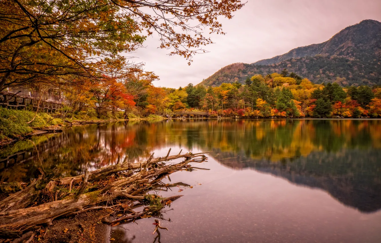 Photo wallpaper autumn, trees, mountains, bridge, lake, Park, Japan, Nikko