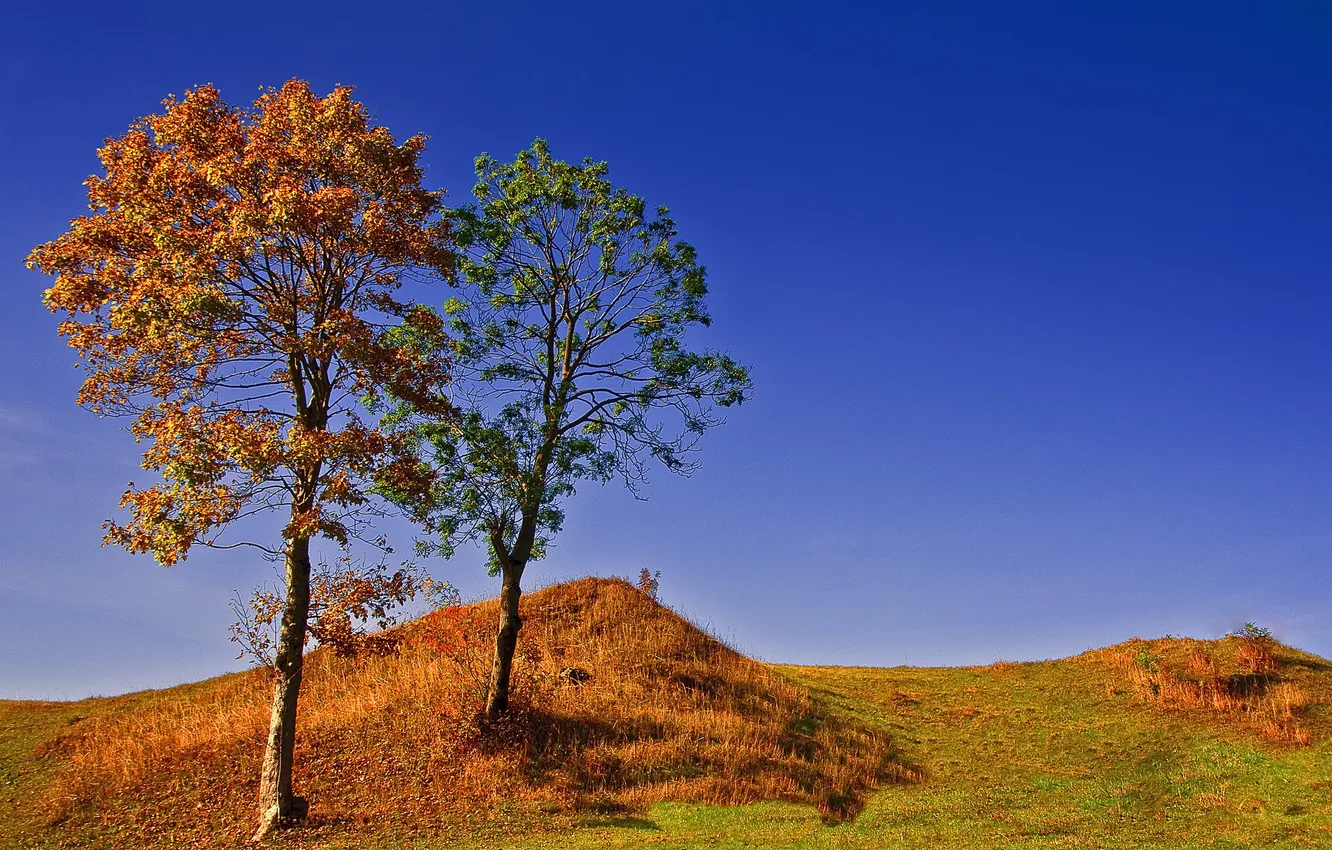 Photo wallpaper autumn, the sky, grass, trees, nature, hills, Wallpaper