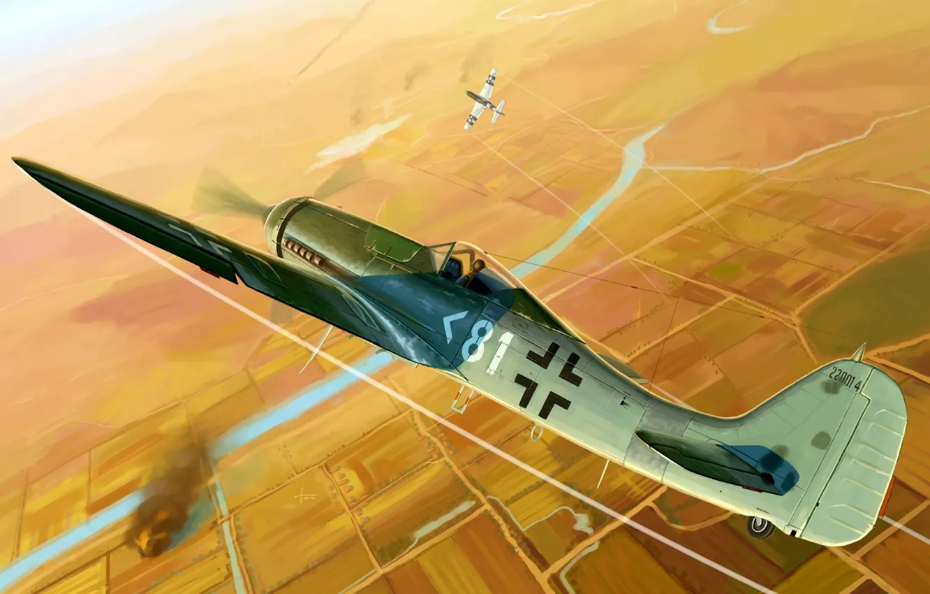 Photo wallpaper P-51, Fw-190, multi-role fighter, Fw.190D-11, Engine Jumo 213F