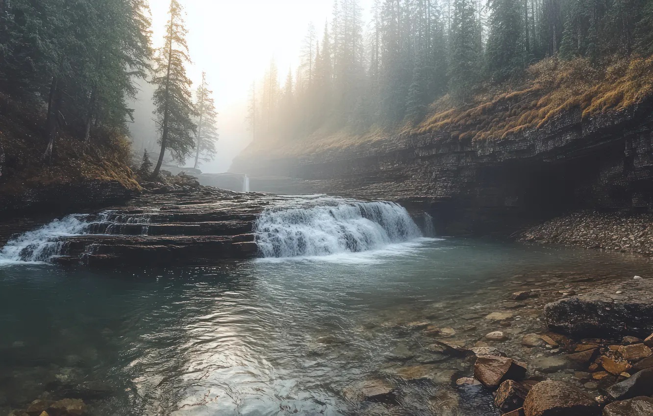 Photo wallpaper forest, light, trees, fog, stones, rocks, shore, waterfall