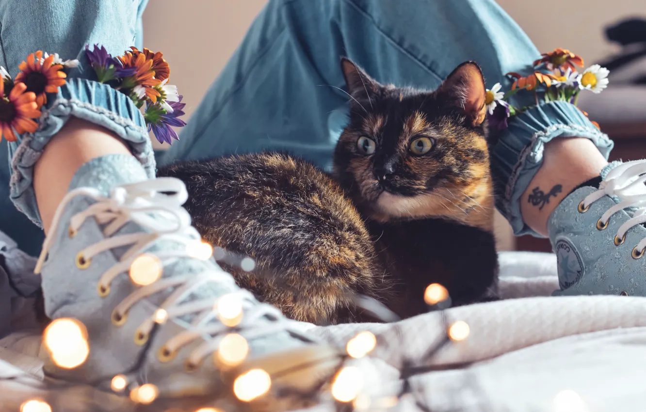 Photo wallpaper spotted, cat, look, flowers, lies, light, sneakers, mistress