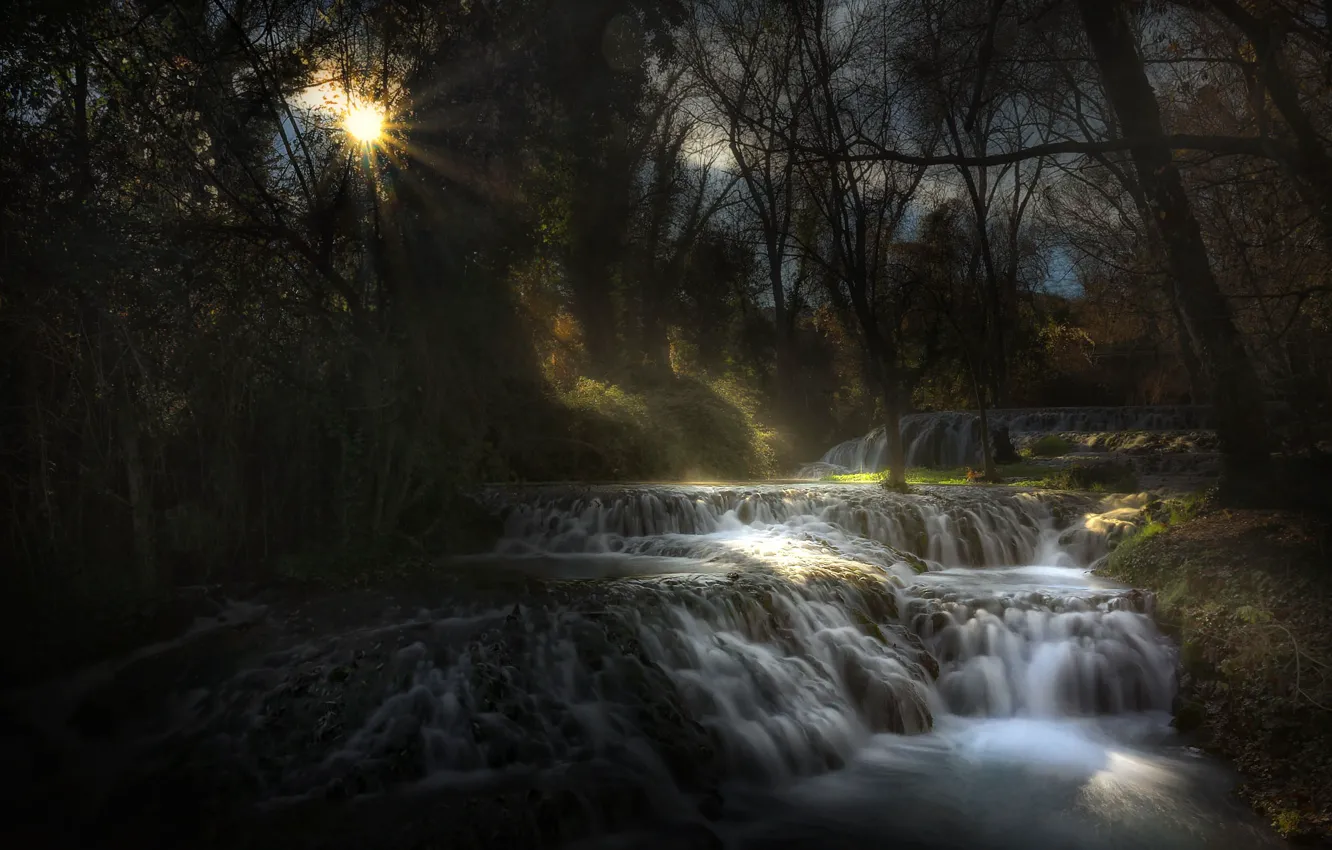 Photo wallpaper forest, the sun, river, stream
