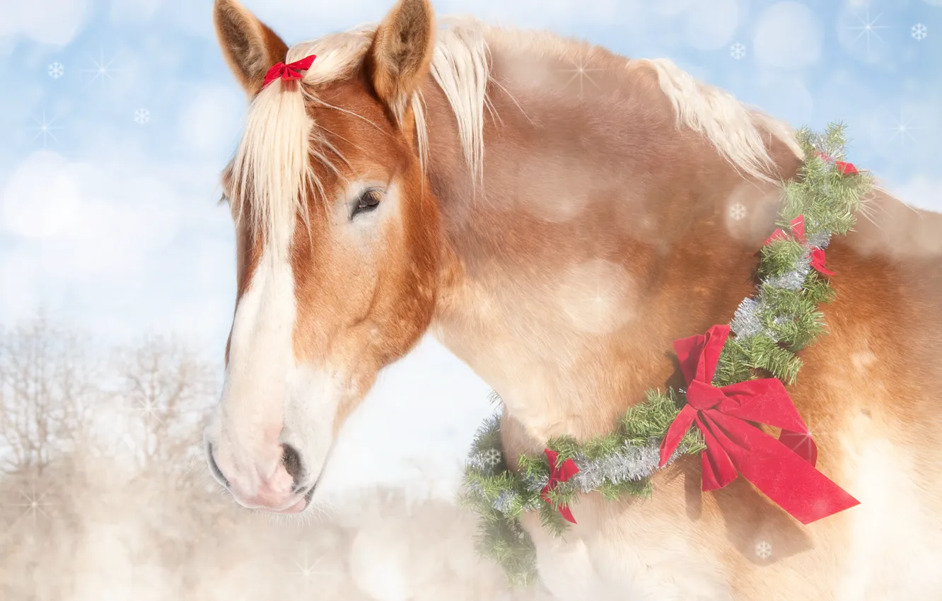Photo wallpaper horse, horse, new year, bow