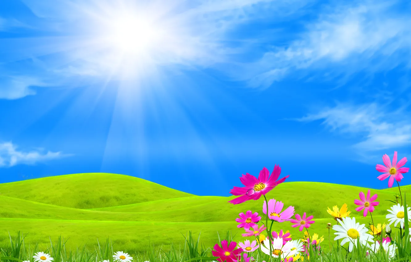 Photo wallpaper the sky, grass, the sun, clouds, rays, flowers, hills, collage