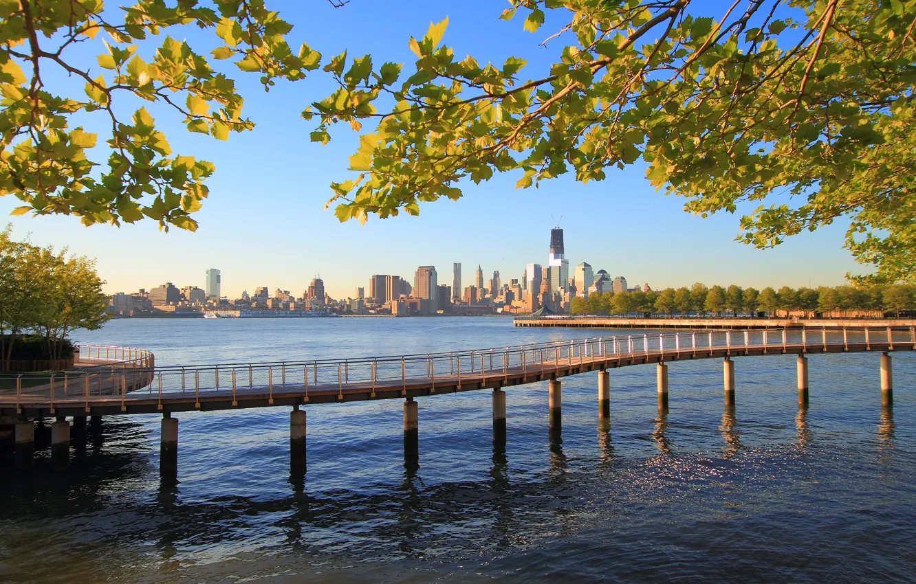 Photo wallpaper water, trees, branches, nature, the city, the ocean, day, the bridge