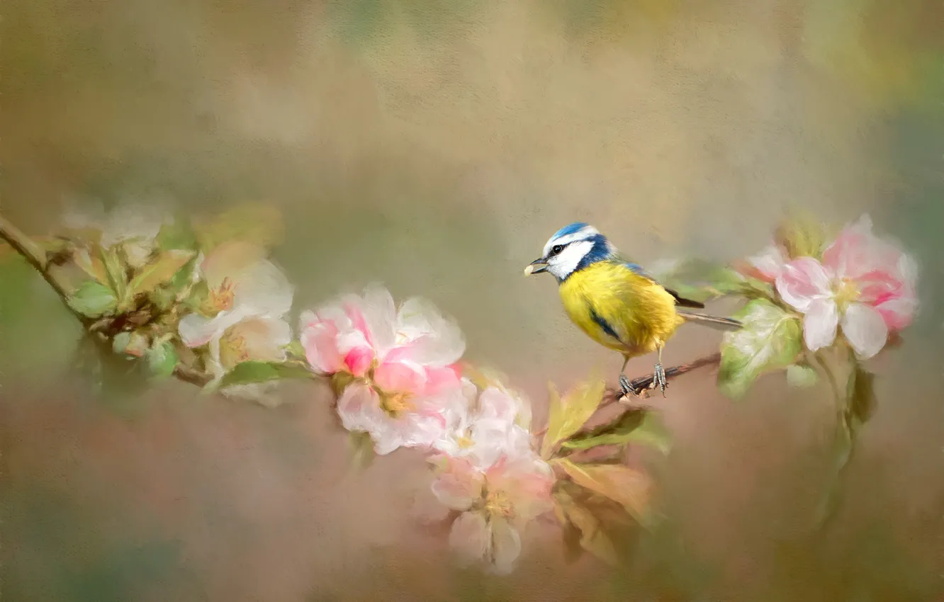 Photo wallpaper flowers, branches, bird, painting, tit