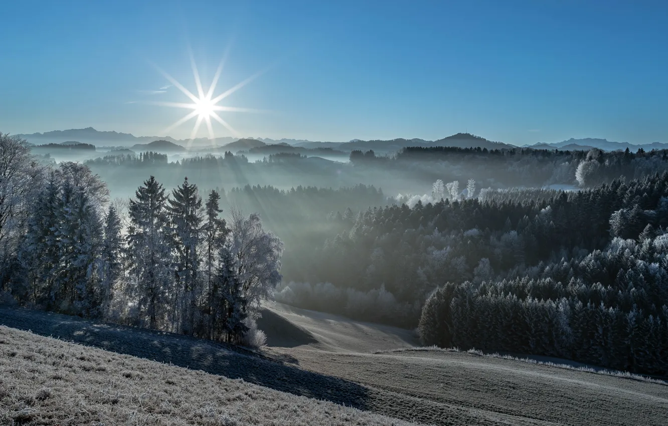 Photo wallpaper winter, light, morning