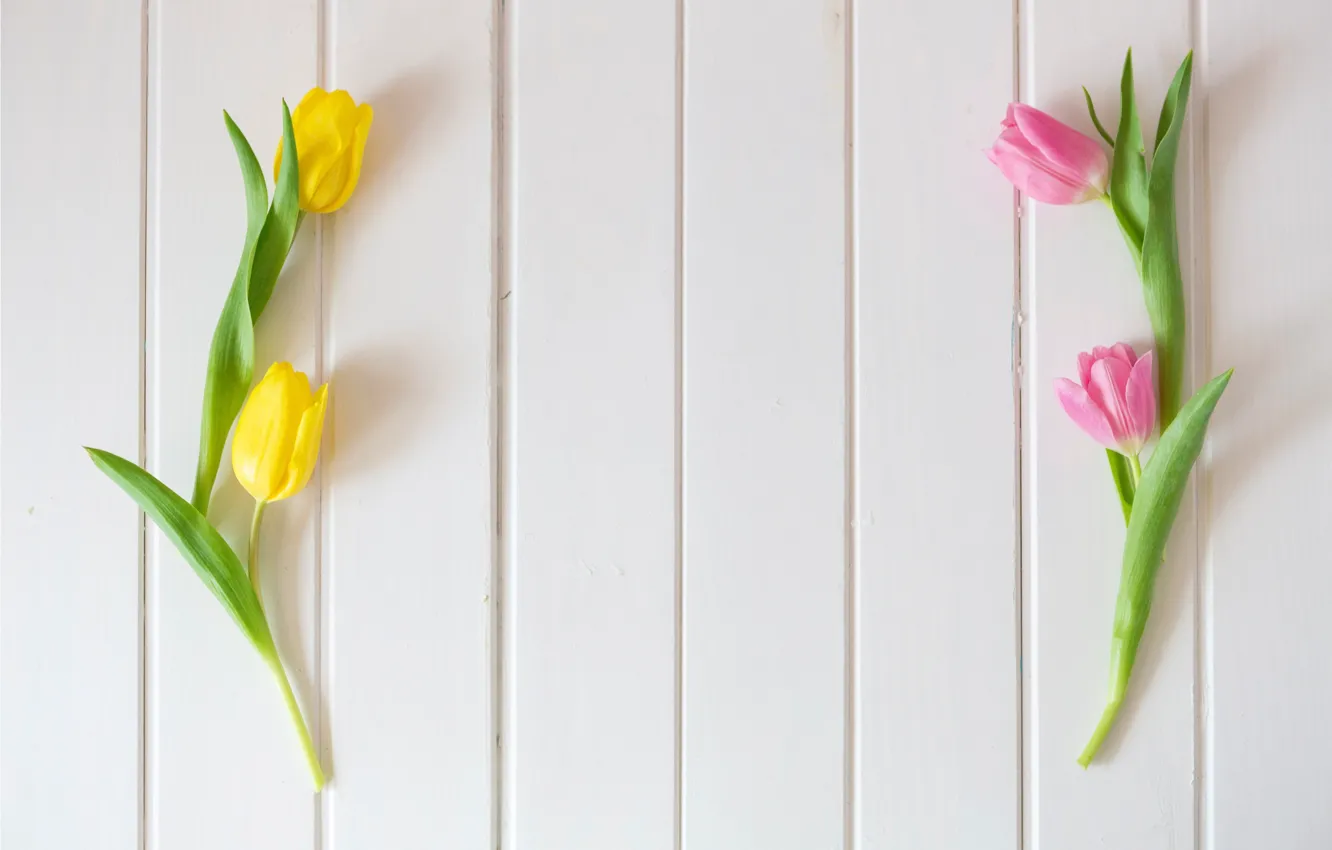 Photo wallpaper flowers, yellow, spring, tulips, pink, fresh, yellow, wood