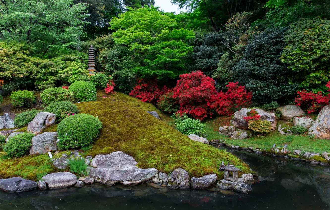 Photo wallpaper trees, pond, Park, stones, the bushes