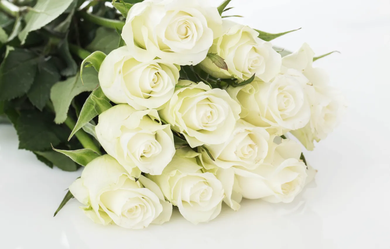 Photo wallpaper roses, bouquet, gentle, white