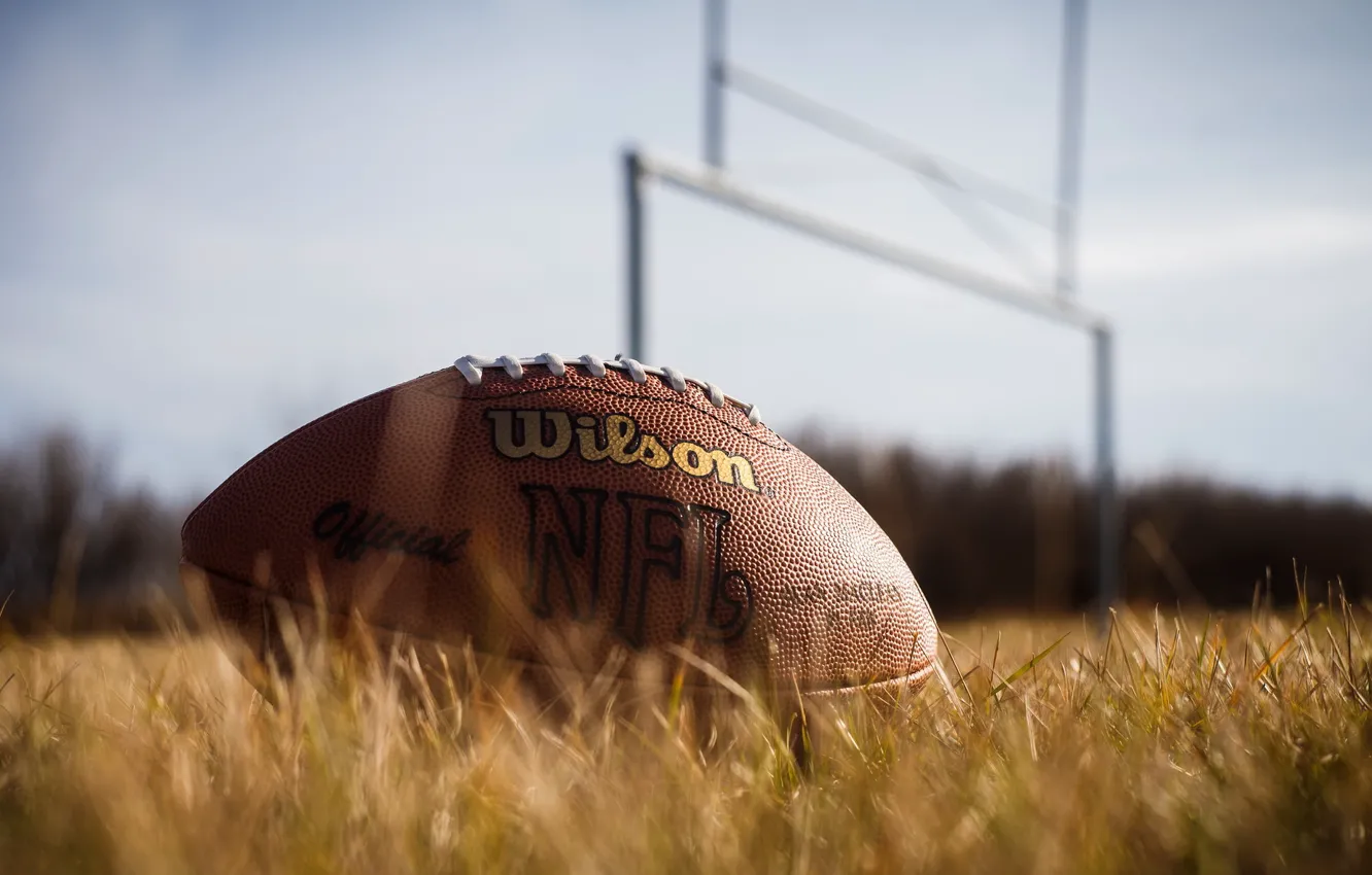 Photo wallpaper grass, sport, the ball