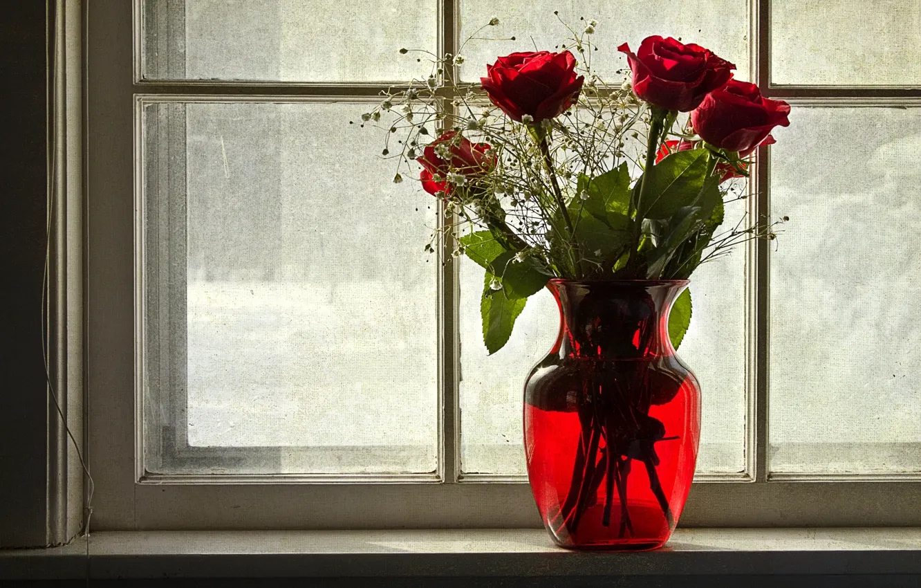 Photo wallpaper winter, flowers, roses, window, vase