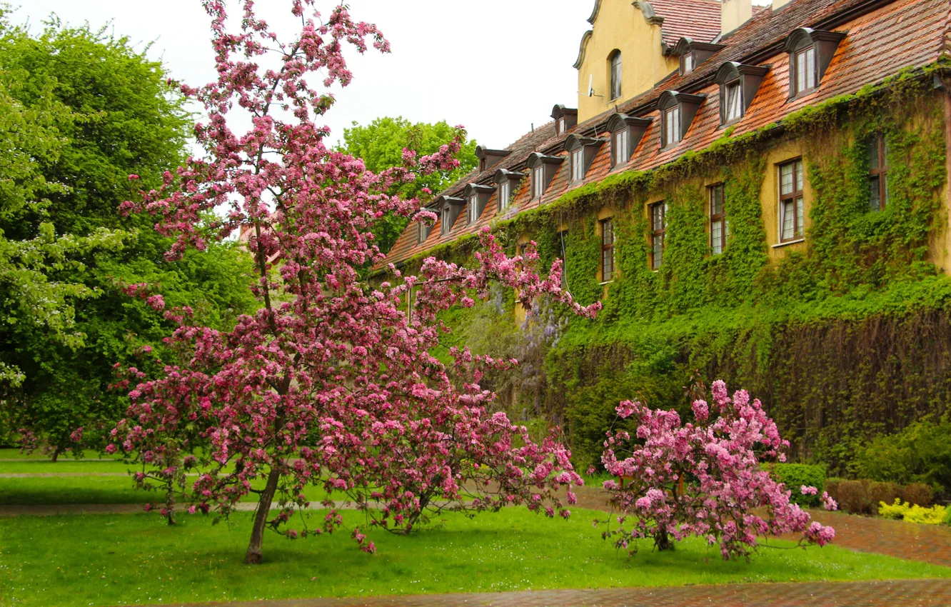 Photo wallpaper house, flower, park, tree, spring, blooming