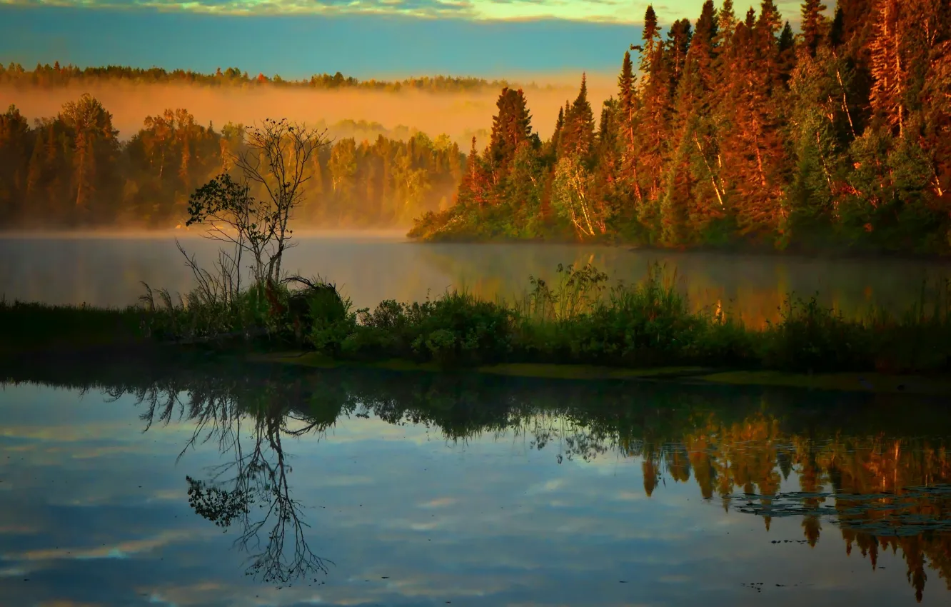 Photo wallpaper autumn, landscape, nature, fog, lake, morning, Canada, forest