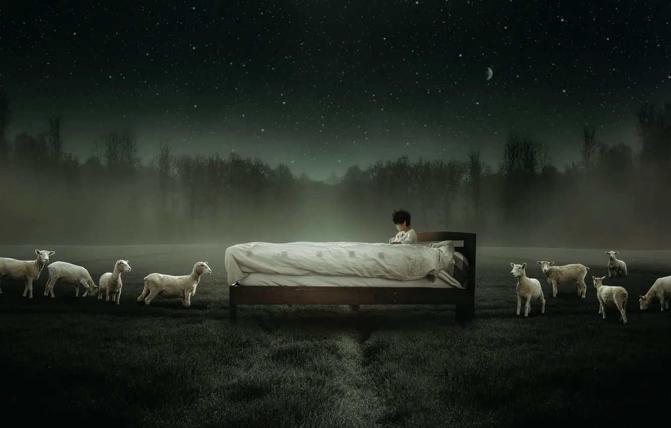 Photo wallpaper field, forest, the sky, grass, stars, night, children, fog